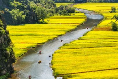 Ninh Binh: Hoa Lu Tam Coc Mua Cave Small Group Full Day