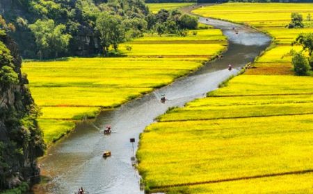 Ninh Binh: Hoa Lu Tam Coc Mua Cave Small Group Full Day