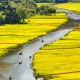 Ninh Binh: Hoa Lu Tam Coc Mua Cave Small Group Full Day