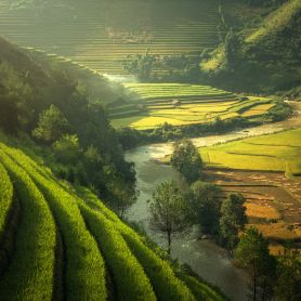 Vietnam Daily Tours
